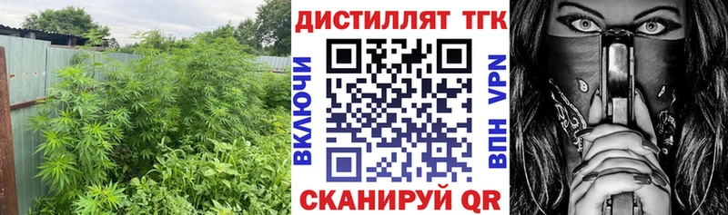 где найти   Щучье  ТГК гашишное масло 